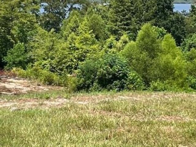 Land for sale in Broaddus, Texas