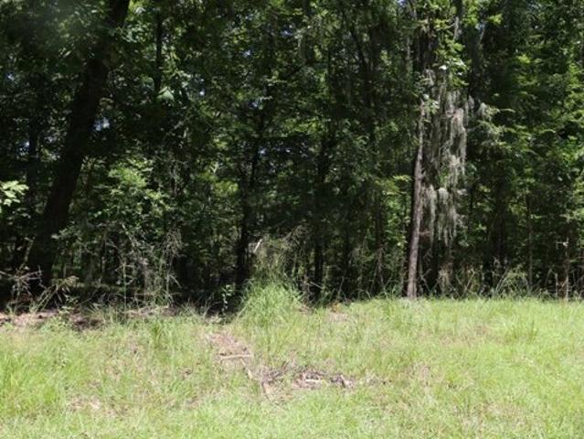 Land for sale in Broaddus, Texas