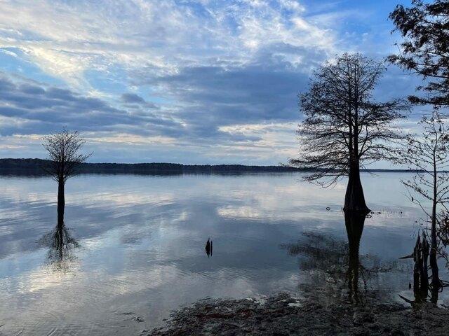 Land for sale in Broaddus, Texas