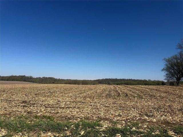 Land for sale in Pepin, Wisconsin