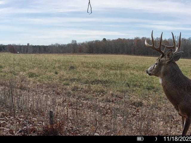 Land for sale in Saint Croix, Wisconsin