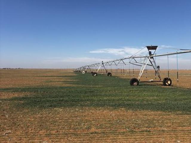 Farm for sale in Muleshoe, Texas