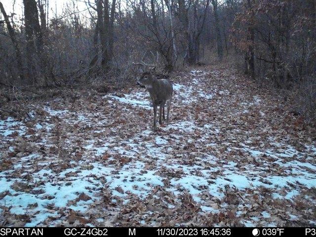 Land for sale in Gile, Wisconsin