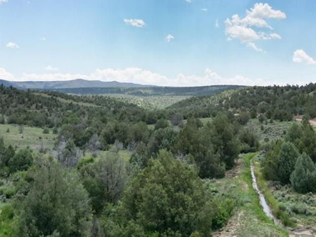 Land for sale in Durango