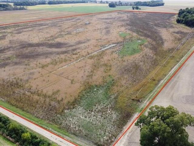 Land for sale in East Prairie, Missouri