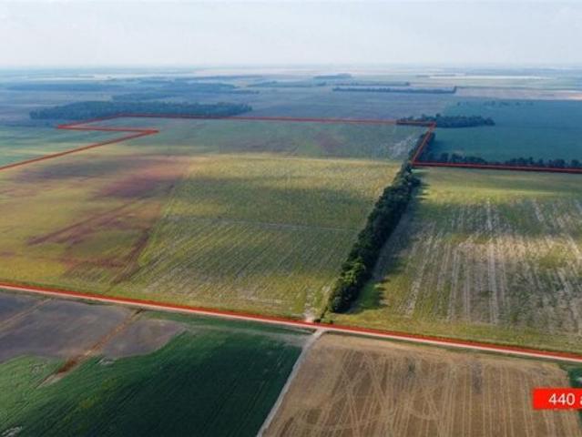 Land for sale in East Prairie, Missouri