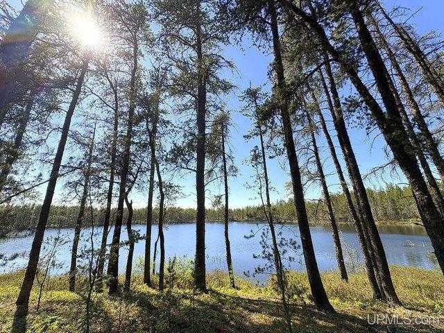Land for sale in Gwinn, Michigan