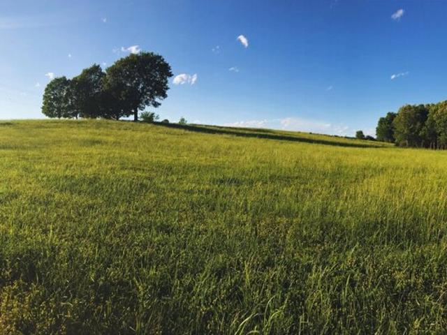 Land for sale in Englewood