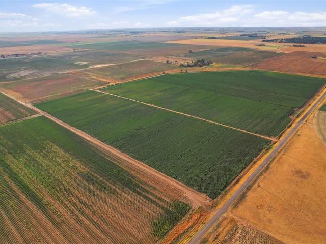 Land for sale in Tipton, Tillman County