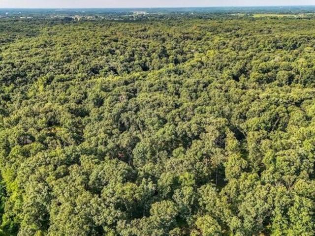 Land for sale in Callaway, Missouri