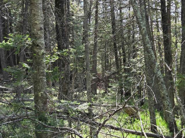Land for sale in Wisconsin