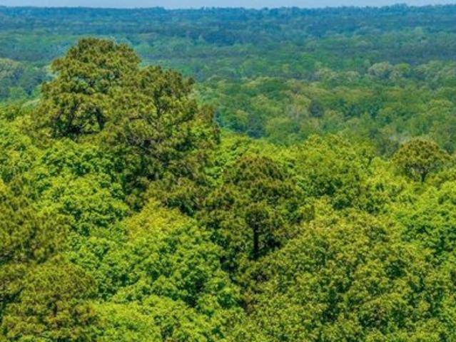 Land for sale in Garrison