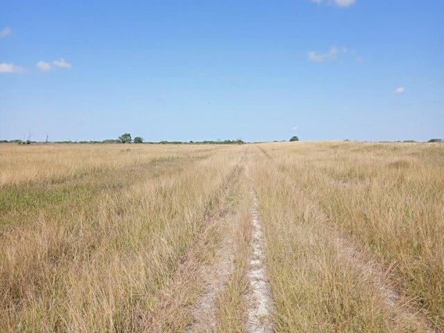 Land for sale in Blessing Land for sale in Blessing