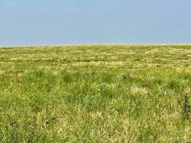 Land for sale in Kit Carson, Colorado