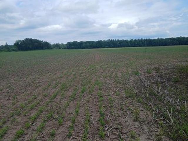 Land for sale in Sturgeon Bay, Wisconsin