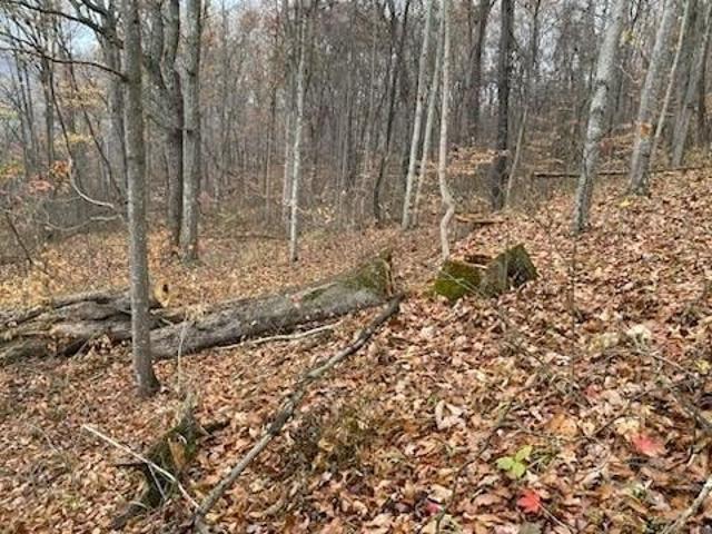 Land for sale in Ironton