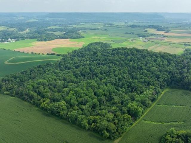 Land for sale in Mondovi, Wisconsin