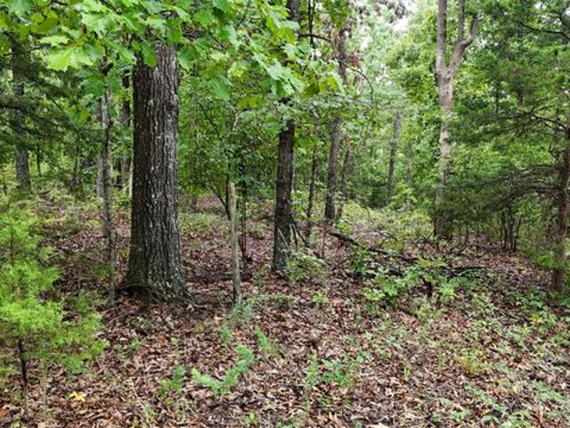 Land for sale in Ava, Missouri