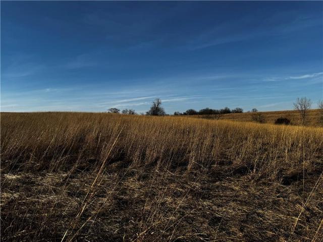 Farm for sale in Hopkins, Missouri
