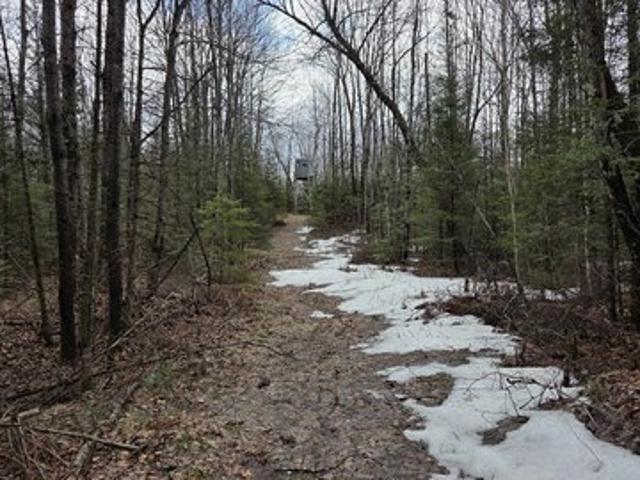 Land for sale in Amberg, Wisconsin