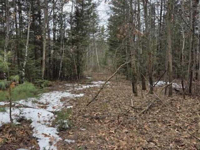 Land for sale in Amberg, Wisconsin