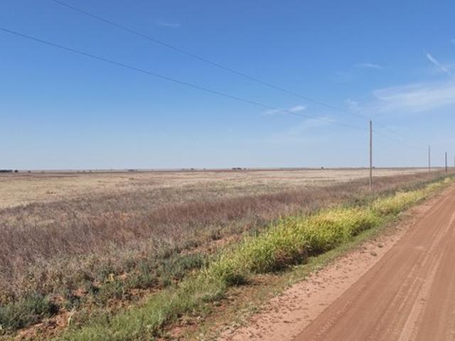 Farm for sale in Bovina, Parmer County