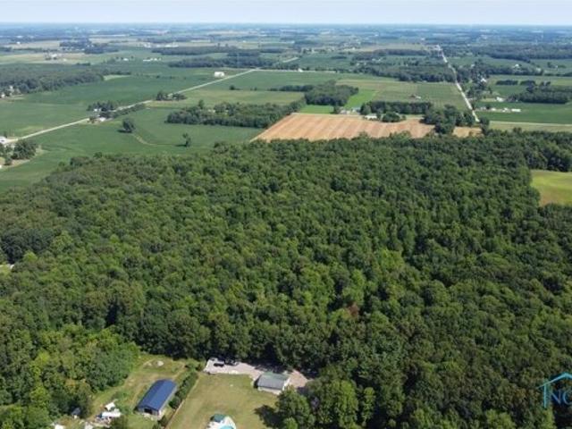 Land for sale in Wauseon Land for sale in Wauseon