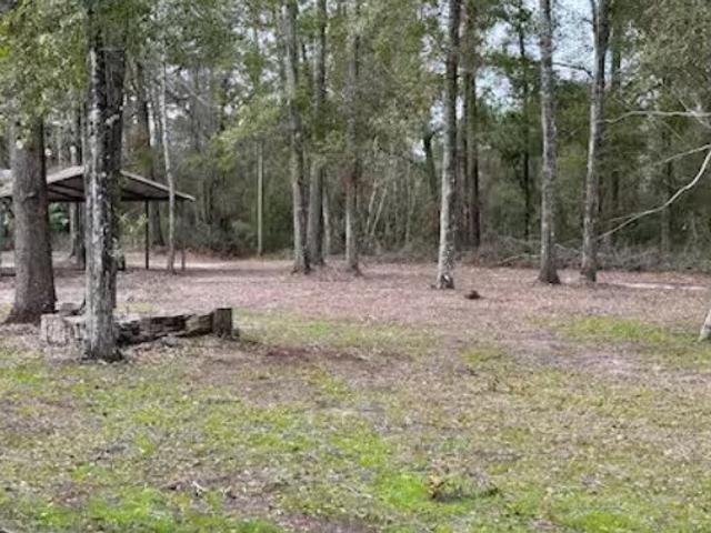 House for sale in Live Oak