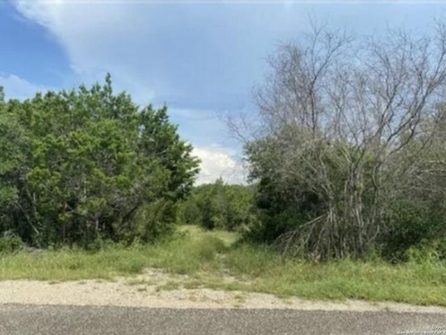 Land for sale in Mico, Texas
