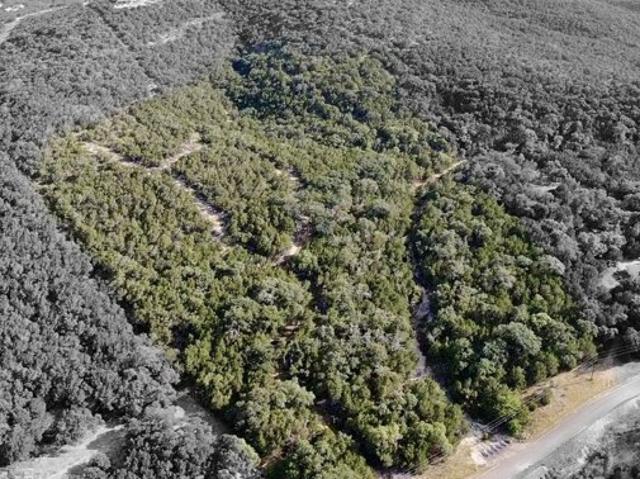 Land for sale in Mico, Texas