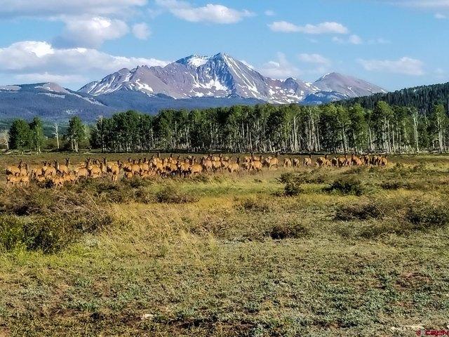 Farm for sale in Colorado