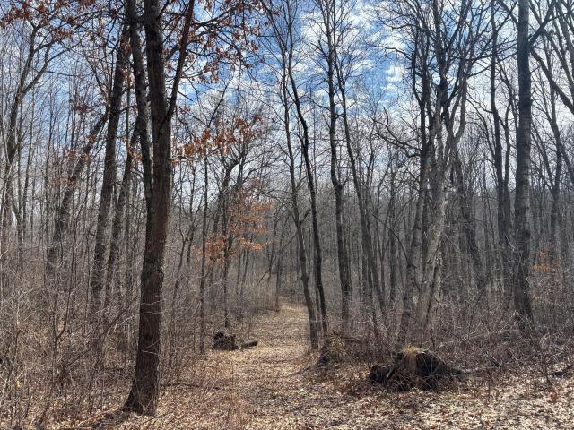 Land for sale in Osceola, Wisconsin