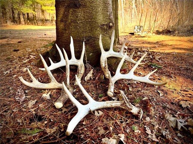 Land for sale in Osceola, Wisconsin