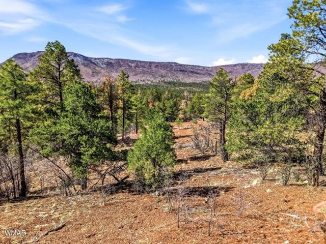 Land for sale in Nutrioso, Arizona