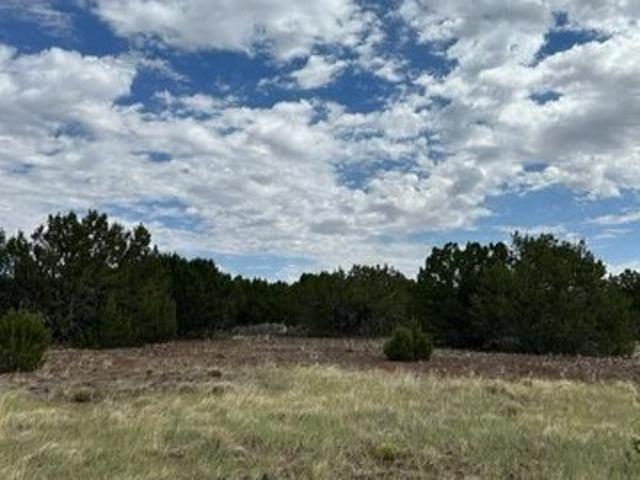 Land for sale in Arizona