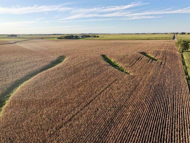 Land for sale in Lake City, Iowa