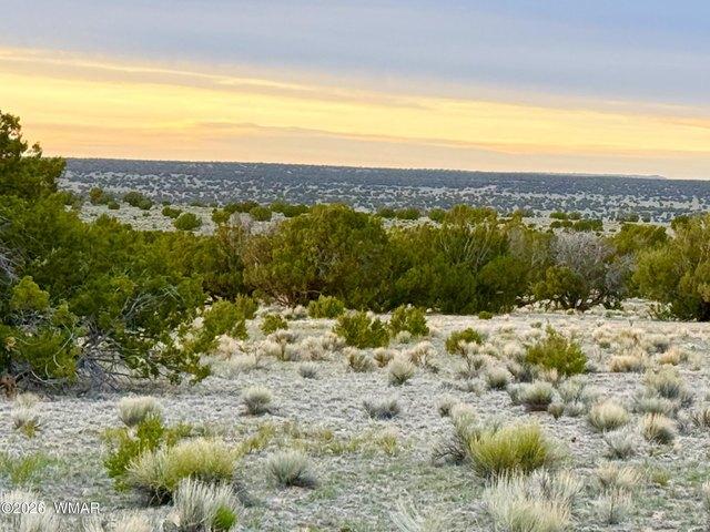Land for sale in Arizona