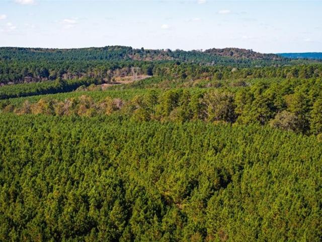 Land for sale in Nacogdoches, Texas