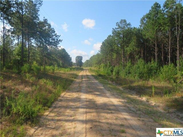 Land for sale in Newton