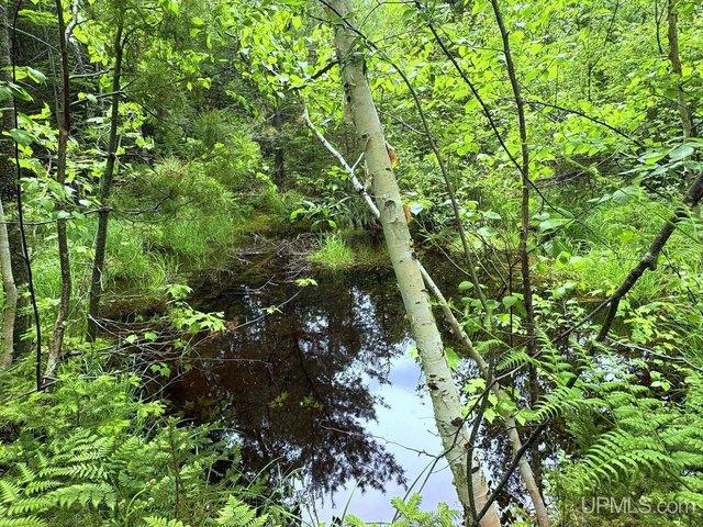 Land for sale in Gwinn, Michigan