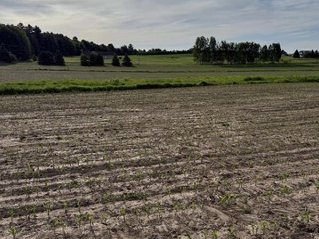 Land for sale in Marathon, Wisconsin