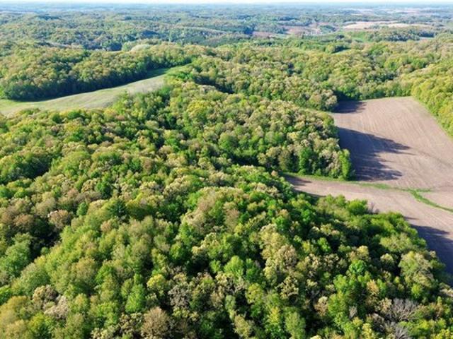 Land for sale in Strum, Wisconsin