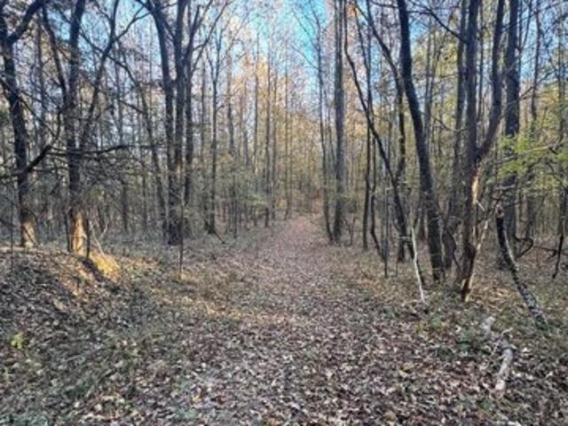 Land for sale in Oxford, Mississippi