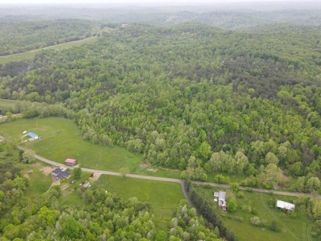 Land for sale in Pedro Land for sale in Pedro