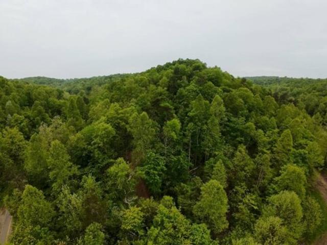 Land for sale in Pedro Land for sale in Pedro