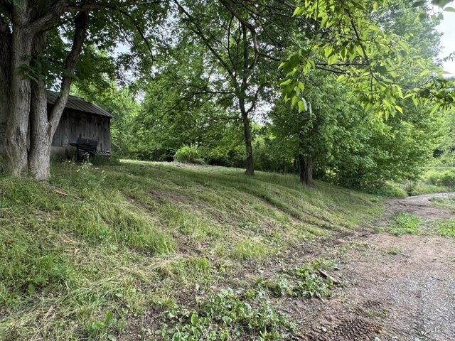 Land for sale in Riceville
