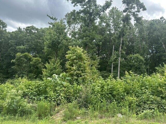 Land for sale in Riceville