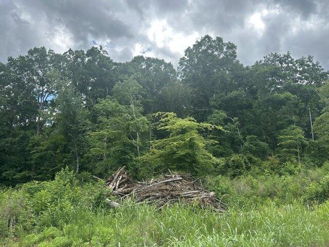 Land for sale in Riceville