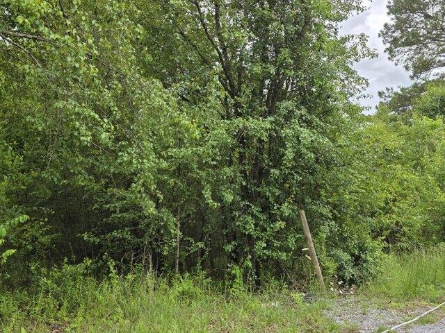 Land for sale in Riceville