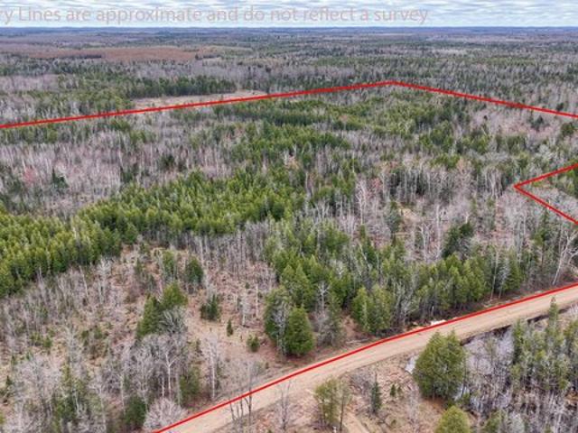 Land for sale in Arnold, Michigan